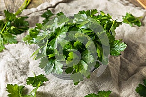 Raw Green Organic Italian Flat Leaf Parsley