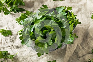 Raw Green Organic Italian Flat Leaf Parsley