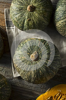 Raw Green Organic Kabocha Squash