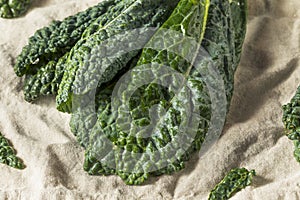 Raw Green Organic Lacinato Kale