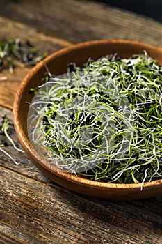 Raw Green Organic Onion Sprouts photo