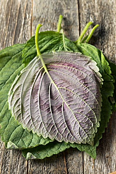 Raw Green Organic Perilla Sesame Leaves