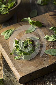 Raw Green Organic Thai Basil