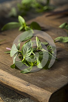 Raw Green Organic Thai Basil