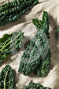 Raw Green Organic Tuscan Dinosaur Kale