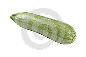 Raw green ripe zucchini isolated on white background. Zucchini or marrow isolated on white. Fresh organic marrow zucchini squash