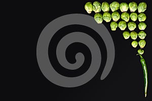 Raw green vegetables, brussels sprouts on black isolated background with place for text, concept of cooking delicious homemade