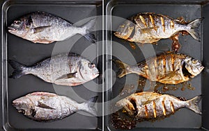 Raw and grilled dorada fish on black plate