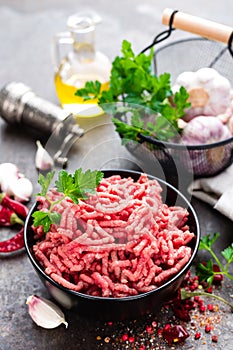 Raw ground beef meat with ingredients for cooking. Fresh minced meat