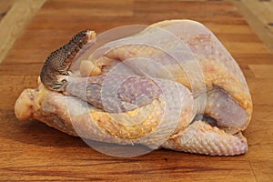 Raw Guinea Fowl photo