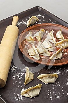 Raw gyoza dumplings on ceramic plate