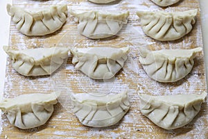 Raw Gyoza. ready for cooking. Japanese version of dumplings. Shallow depth of field.