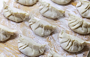 Raw Gyoza. ready for cooking. Japanese version of dumplings. Shallow depth of field.