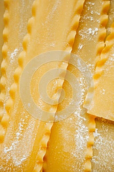 Raw hard homemade fluted lasagna sheets in flour close-up. real life atmosphere. homemade pasta made from durum wheat.