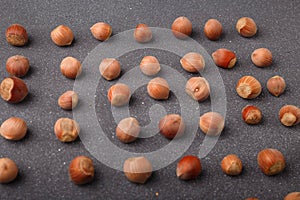 raw hazelnuts in shells lay out in square shape on grey background