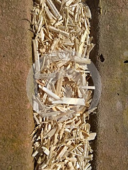 Hemp - Not Another Brick In The Wall photo
