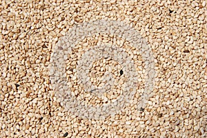Raw Hulled Sesame Seeds