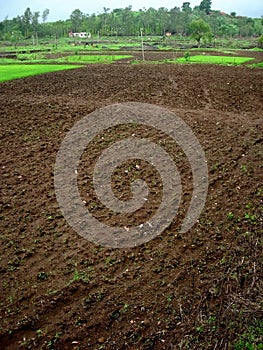 Raw Indian soil before cultivation