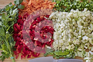 Raw ingredients cleaned and chopped and ready for the preparation of a vegetarian meal such a soup or a stew