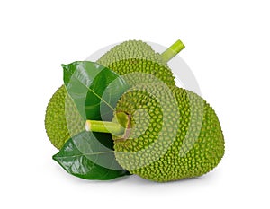 raw jackfruit with leaf isolated on white