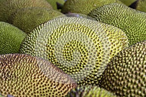 Raw jackfruit for sale on local street market in island Borneo, Malaysia. Tropical fruit, close up