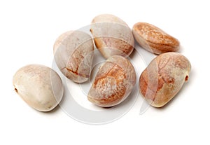 Raw Jackfruit seeds on white background