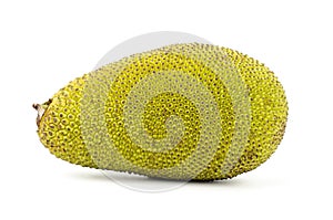 Raw jackfruit