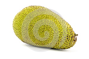 Raw jackfruit