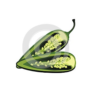 Raw jalapeno hot chilies. Vector Illustration photo