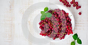 Raw juicy and fresh berries of red currant and mint leaves in white plate. Selective focus. Top view