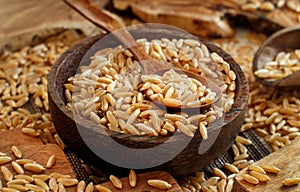 Raw Kamut grain in a wooden bowl