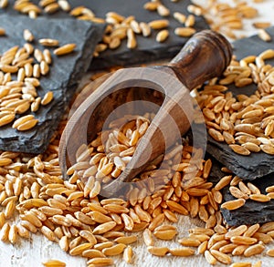 Raw Kamut grain in a wooden bowl