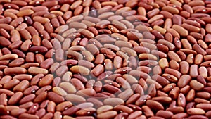 Raw kidney beans