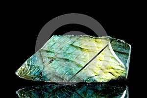 Raw labradorite mineral stone in front of black background