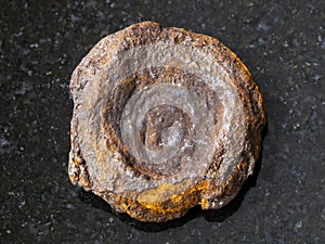 raw lake iron ore coin type (limonite) on dark