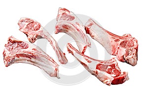 Raw lamb chops, Rack of Lamb. Isolated on white background. Top view.