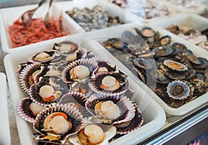 Raw `Lapas` or true limpets - traditional seafood of Tenerife and Madeira Islands photo