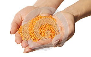 Raw lentils in hands