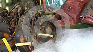 Raw lobsters which takes a hand on a background of different fish on ice