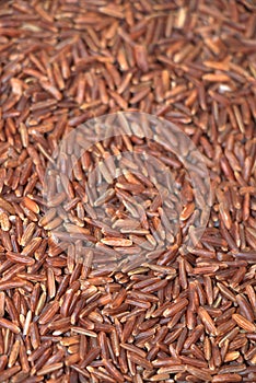 Raw long grains of red rice texture