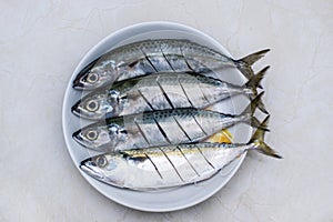 Raw mackerel fish on a plate top view