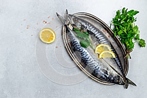Raw Mackerel fish with salt, lemon and spices on light background. Fresh seafood. Culinary, cooking fish concept. banner