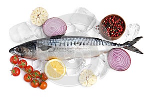 Raw mackerel, peppercorns, lemon, red onion, garlic and tomatoes isolated on white, top view