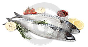 Raw mackerels, peppercorns, lemons, garlic, rosemary and tomatoes isolated on white
