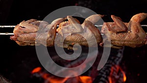 Raw marinated quails on the skewer are rotated above the open fire