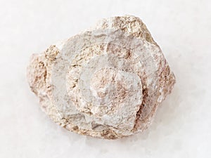 raw marl stone on white