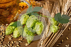 Raw material for beer production