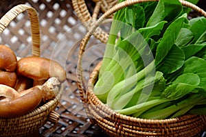 Raw materials vegans, fresh green bok choy and mushroom