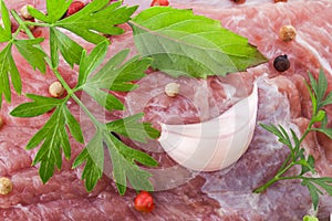 Raw meat background