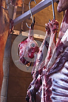 Raw meat in a carnage at the market